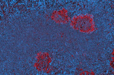 Kırmızı ve mavi renkli grungy duvar, desenli arka plan