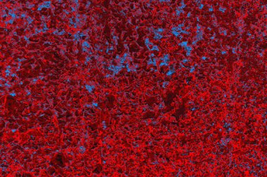 Soyut grunge arkaplanı. Monokrom dokusu. Mavi ve kırmızı desenli arkaplan