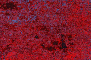 Soyut grunge arkaplanı. Monokrom dokusu. Mavi ve kırmızı desenli arkaplan