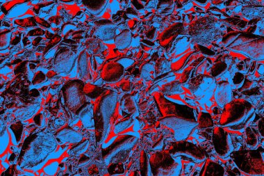 Doğada kayalık yol