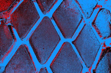 Boyalı araba lastiği yakın çekim dokusu arka planı