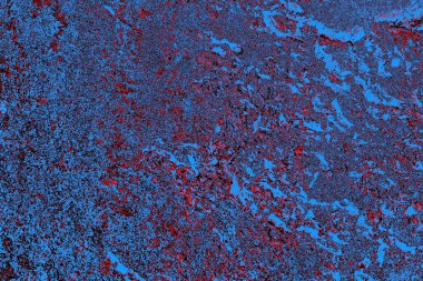 Kırmızı ve mavi renkli grungy duvar, desenli arka plan