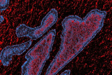 Arkaplan olarak kullanmak için duvarın resmi.