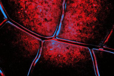 Arkaplan olarak kullanmak için duvarın resmi.