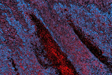 Kırmızı ve mavi renkli grungy duvar, desenli arka plan