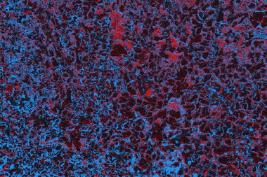 Kırmızı ve mavi renkli grungy duvar, desenli arka plan