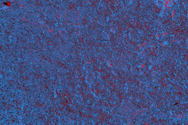 Arkaplan olarak kullanmak için duvarın resmi.