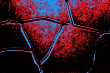 Arkaplan olarak kullanmak için duvarın resmi.