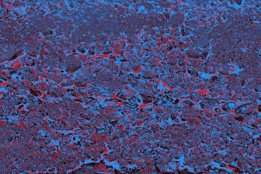 Beton duvar arkaplanı, kopyalama alanı