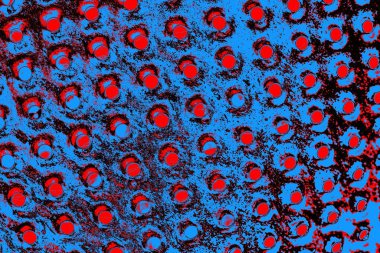 Kırmızı ve mavi renkli grungy duvar, desenli arka plan