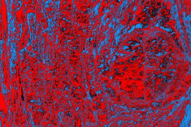 Kırmızı ve mavi renkli grungy duvar, desenli arka plan