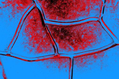 Arkaplan olarak kullanmak için duvarın resmi.