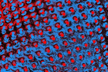 Kırmızı ve mavi renkli grungy duvar, desenli arka plan