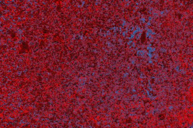 Soyut grunge arkaplanı. Monokrom dokusu. Mavi ve kırmızı desenli arkaplan