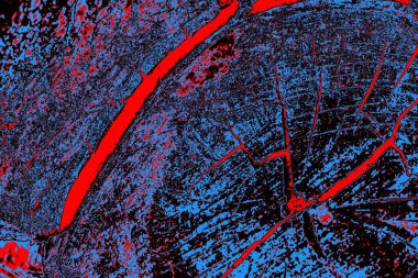 Kırmızı ve mavi renkli grungy duvar, desenli arka plan