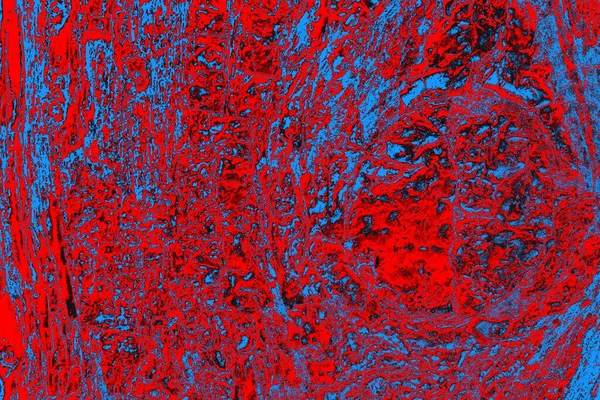 Kırmızı ve mavi renkli grungy duvar, desenli arka plan