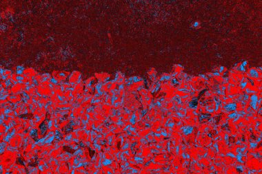 beton duvar dokusu arkaplanı