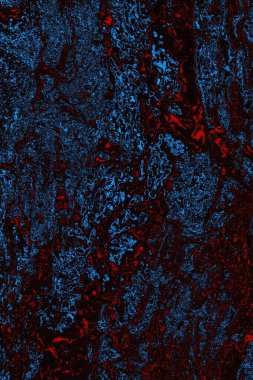 Soyut ahşap doku arkaplanı