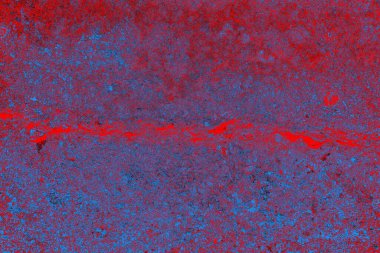 Beton duvar arkaplanı, kopyalama alanı