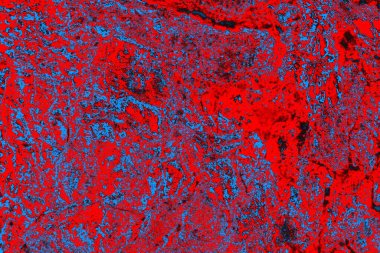 Soyut ahşap doku arkaplanı