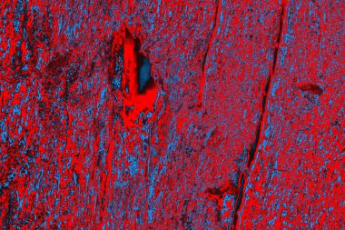 Soyut ahşap doku arkaplanı