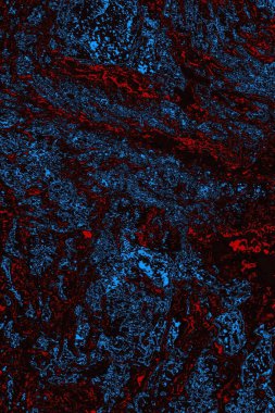 Soyut ahşap doku arkaplanı