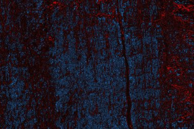 Soyut ahşap doku arkaplanı