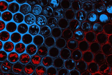 Koyu renkli ses, arka planda çatlaklar olan grunge duvar dokusu