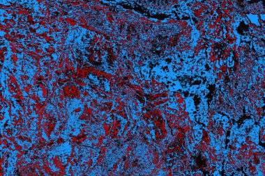 Soyut ahşap doku arkaplanı