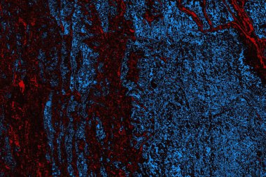 Soyut ahşap doku arkaplanı