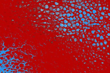 Polistiren köpük yakın plan. Bir sürü küçük ve büyük kabarcıklar stiroköpük doku arkaplanı.