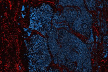 Soyut ahşap doku arkaplanı