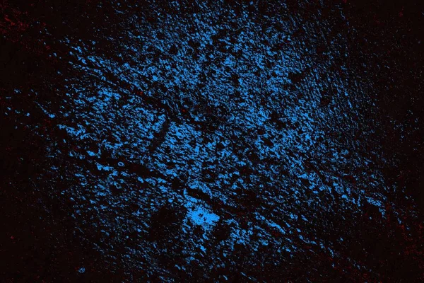 beton duvar dokusu arkaplanı