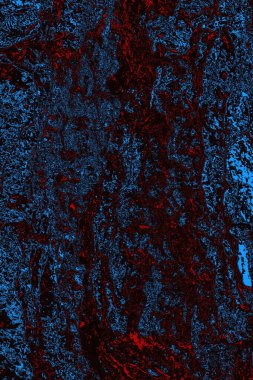 Soyut ahşap doku arkaplanı