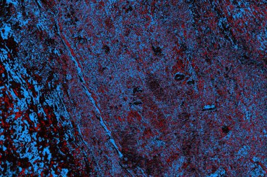 Soyut ahşap doku arkaplanı