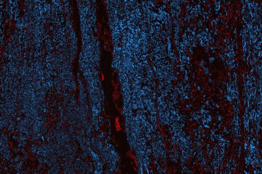 Soyut ahşap doku arkaplanı