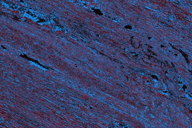 Soyut ahşap doku arkaplanı