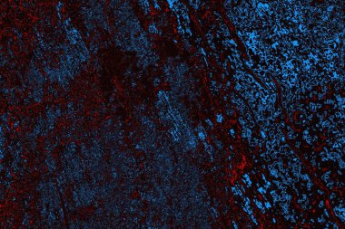 Soyut ahşap doku arkaplanı