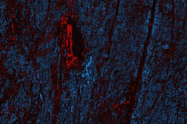 Soyut ahşap doku arkaplanı