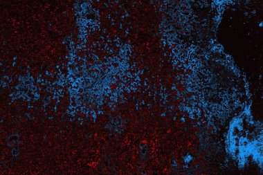 beton duvar dokusu arkaplanı