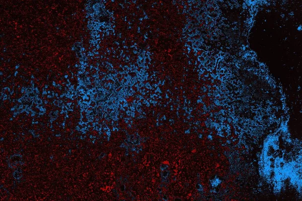 beton duvar dokusu arkaplanı