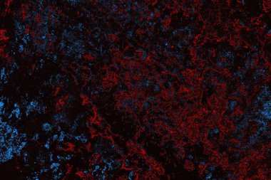 beton duvar dokusu arkaplanı