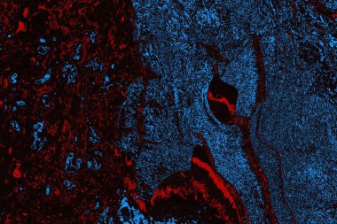 Soyut ahşap doku arkaplanı