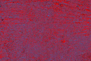 Soyut ahşap doku arkaplanı