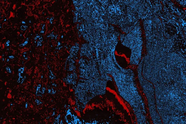 Soyut ahşap doku arkaplanı