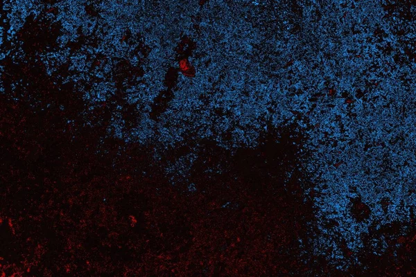 beton duvar dokusu arkaplanı