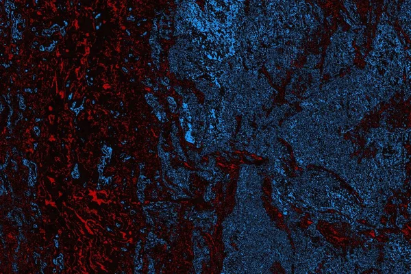 Soyut ahşap doku arkaplanı