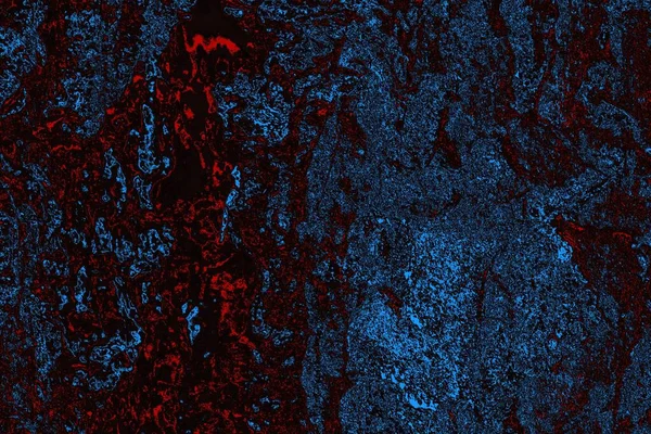 Soyut ahşap doku arkaplanı