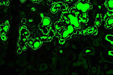 soyut Yeşil ve siyah doku ve arkaplan, boşluğu kopyala