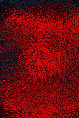 Polistiren köpük yakın plan. Bir sürü küçük ve büyük kabarcıklar stiroköpük doku arkaplanı.